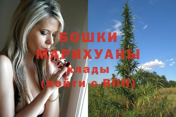 сатива Горнозаводск