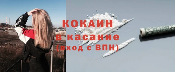сатива Горнозаводск