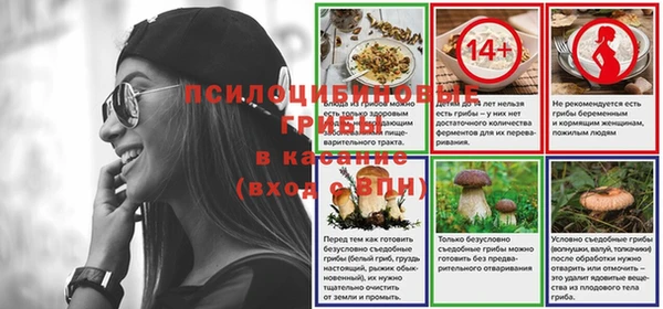 ПСИЛОЦИБИНОВЫЕ ГРИБЫ Лиски