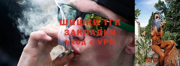 сатива Горнозаводск