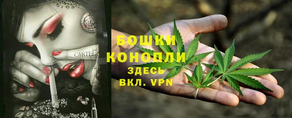 сатива Горнозаводск