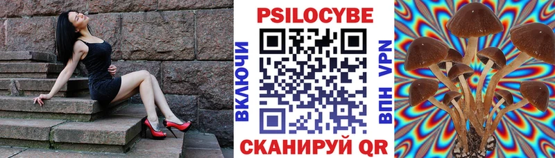 Галлюциногенные грибы мухоморы  Мещовск 